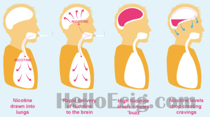 How to Choose Your Vapes Nicotine Strenght 2 How to Choose Your Vapes Nicotine Strenght